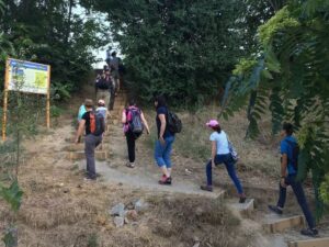 Parcul Văcărești din București are poteci