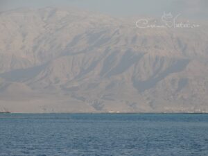 Peisaj spre Munții Iordaniei de la Marea Moartă