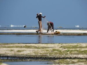 vacanta zanzibar africa