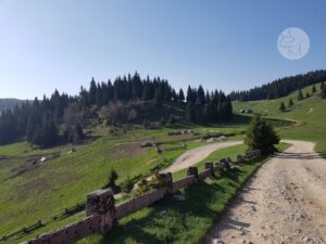 Roadtrip pe Transapuseni