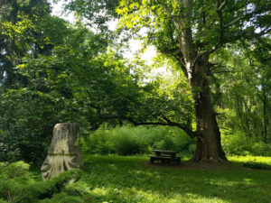 Parcul Dendrologic Simeria