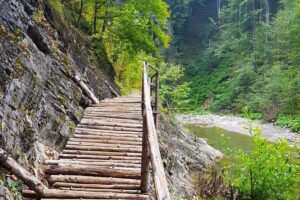 Parcul Natural Putna-Vrancea
