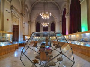 Muzeul Național de Geologie