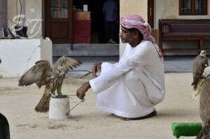 Vizita Falcon Souq Waqif, Doha