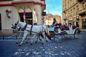 vacanta activitati praga city break